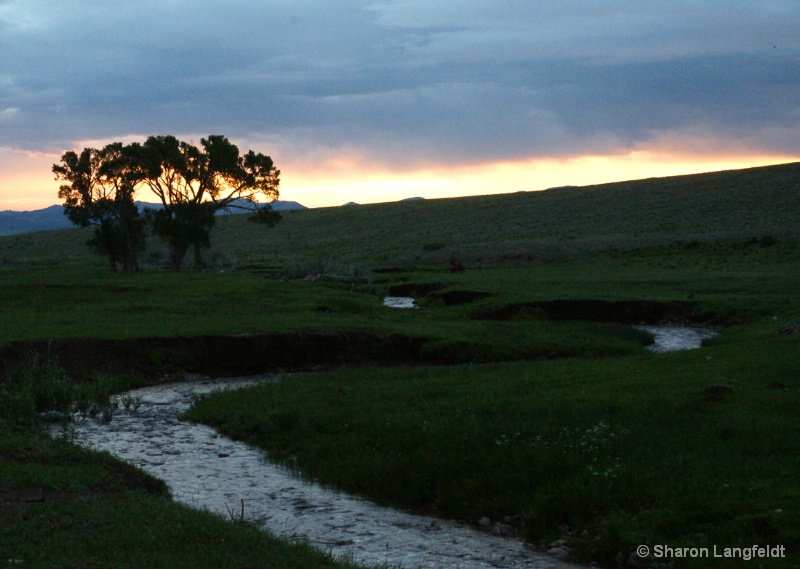 Winding Stream - ID: 10371275 © Sharon L. Langfeldt