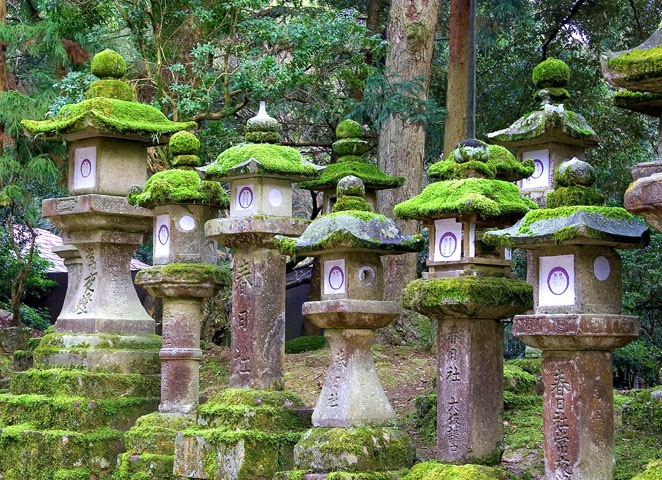 Garden Lantern