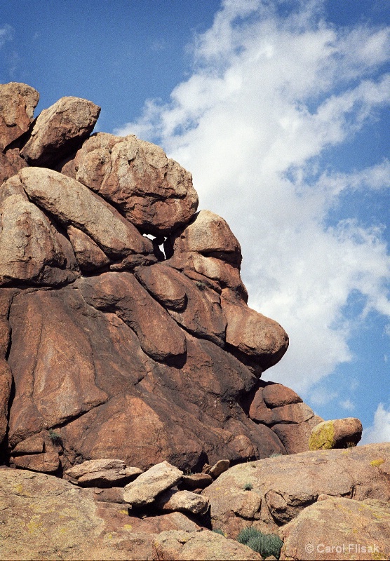 Stone Face ~ Bechegt Had, Mongolia