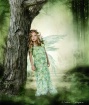 forest fairy