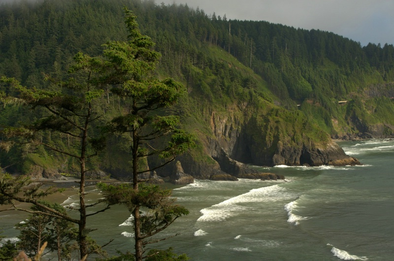 View from Trail to Heceta Head Lighthouse - ID: 10380851 © cari martin