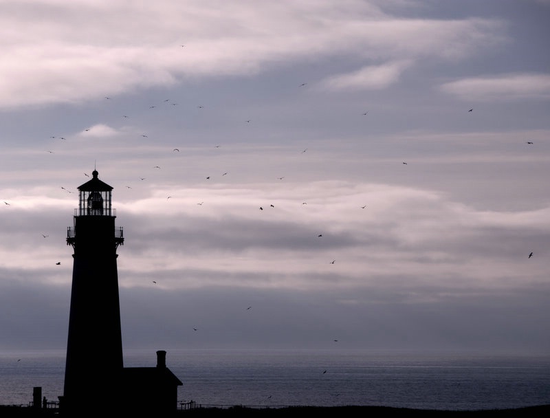 Yaquina Lighthouse Newport Oregon - ID: 10380863 © cari martin