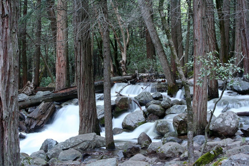 Bridalveil Falls Creek