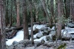 Bridalveil Falls ...