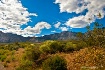 Canyon Heights
