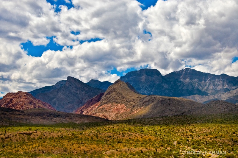 Gracious Mountains