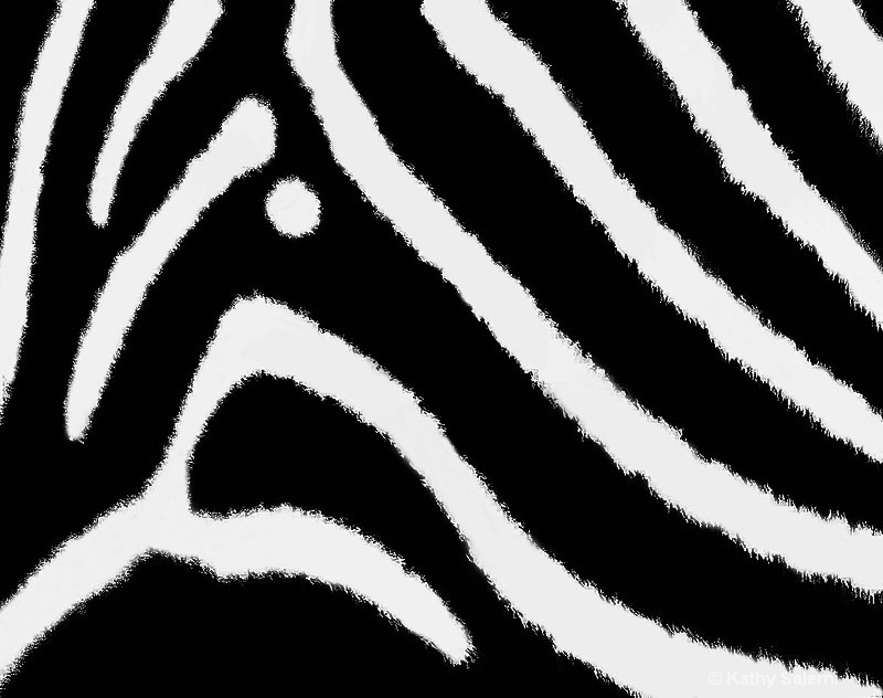 Zebra Blueprint - ID: 10382801 © Kathy Salerni