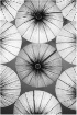 Japanese Umbrella...