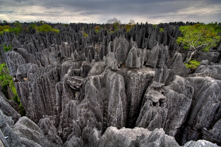 Landscapes of Madagascar New 104