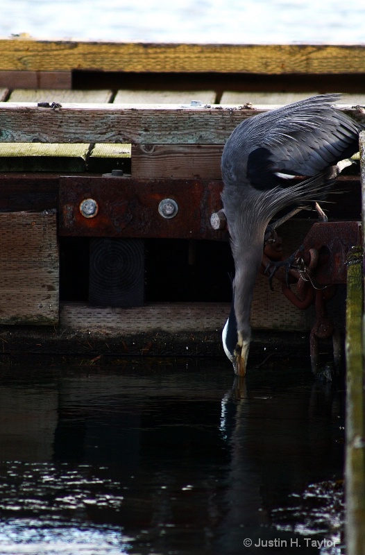 Stillness of the Catch