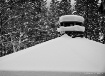 Snow Cap