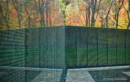 Vietnam Memorial Wall