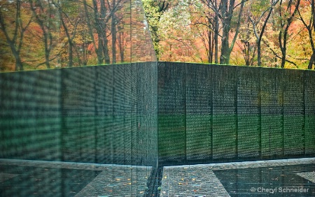 Vietnam Memorial Wall