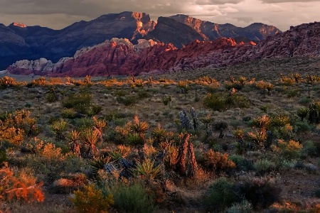 Morning sun comes to Red Rock Canyon