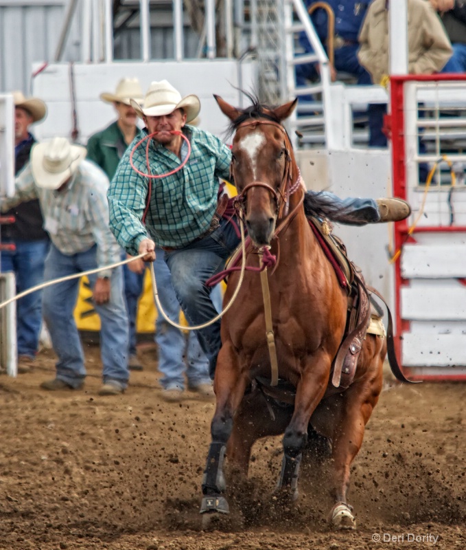 st paul rodeo 2010 calf roping