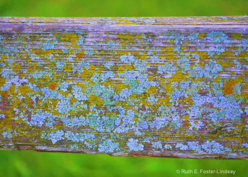 Colorful  Fence