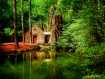 Reflections
