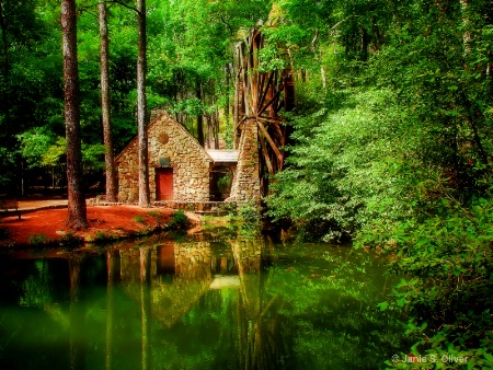 Photo Contest 1st Place Prize Winner