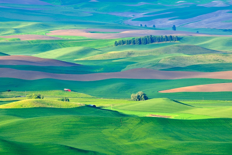 Red Barn in the Palouse, early morning light.