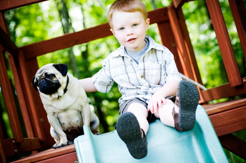 A Boy and His Dog