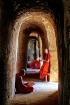 Two Novice
