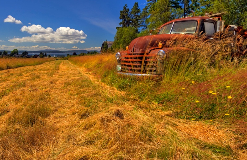 Rusting Away