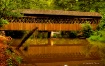 Reflections of Po...