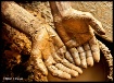 Craftman's Ha...