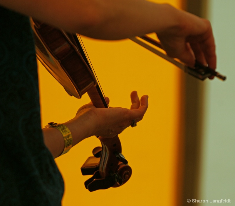 Fiddlin' Around - ID: 10426295 © Sharon L. Langfeldt
