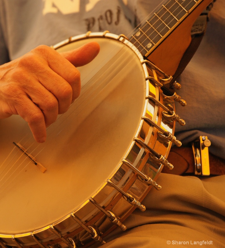 75 Year Old Banjo-playing Hands - ID: 10426316 © Sharon L. Langfeldt