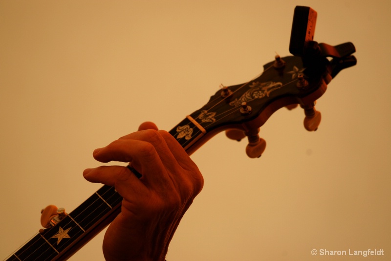 Banjo Player - ID: 10427581 © Sharon L. Langfeldt