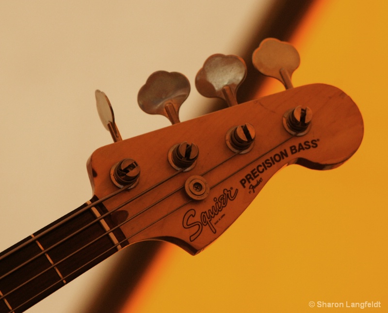 Head of the Bass - ID: 10427584 © Sharon L. Langfeldt