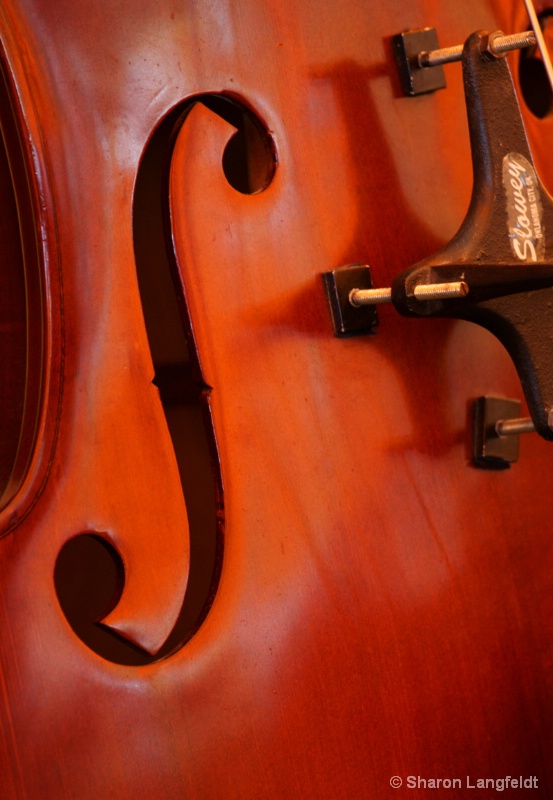 Sound Hole - ID: 10427585 © Sharon L. Langfeldt