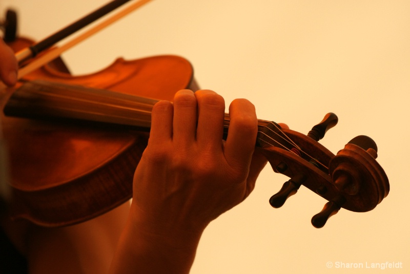 Fiddlin' Away - ID: 10427587 © Sharon L. Langfeldt
