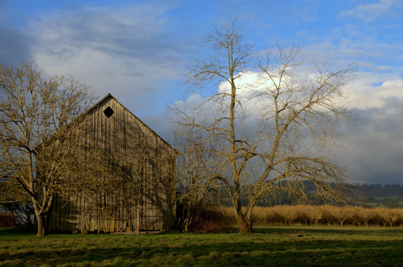 Newberg Barn at Sunset - ID: 10434637 © cari martin