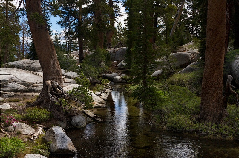 Mountain Stream