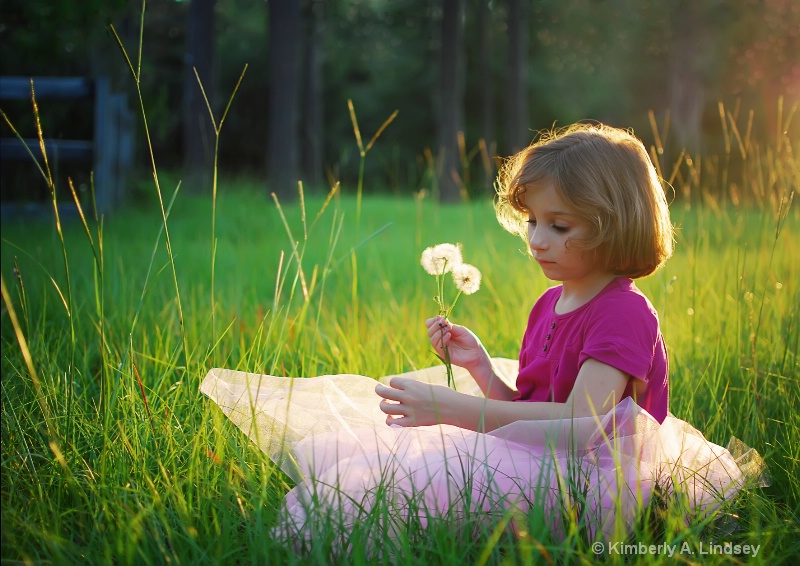 Chey in the meadow