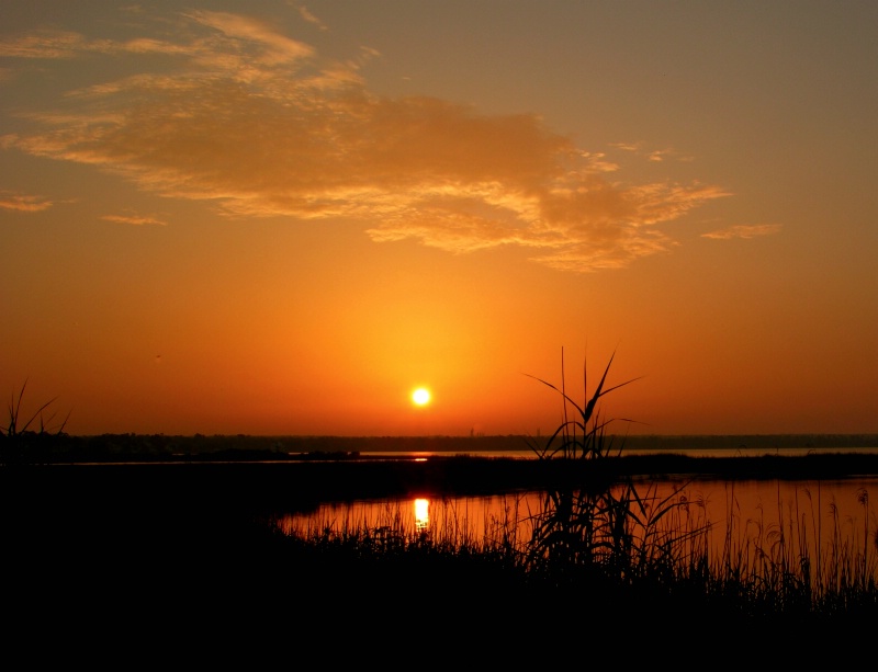 Escambia River Sunrise