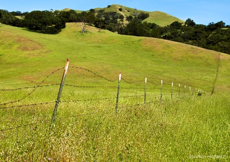Fenceline with Hills - II