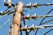 Power for the Peo...
