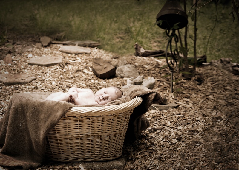 basket babe