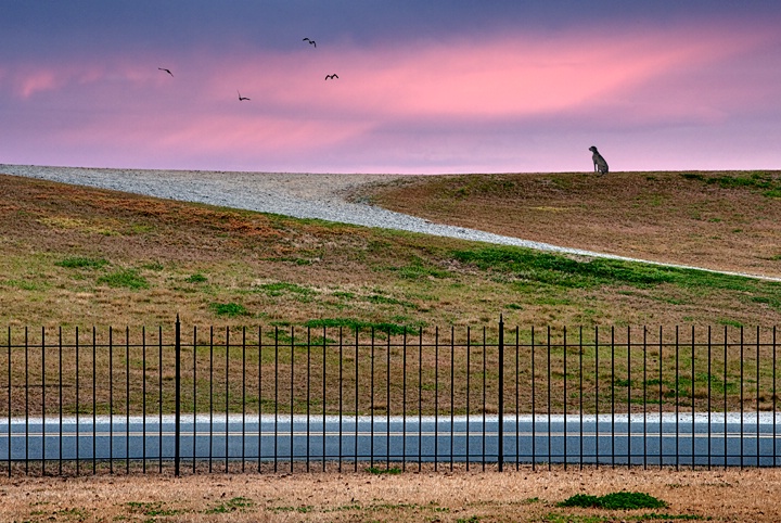 Waiting on the Levee