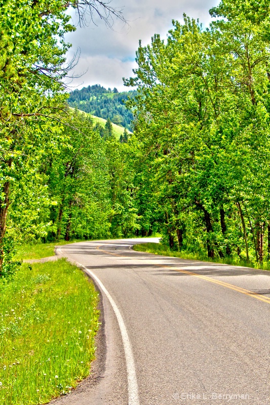 Montana Highway