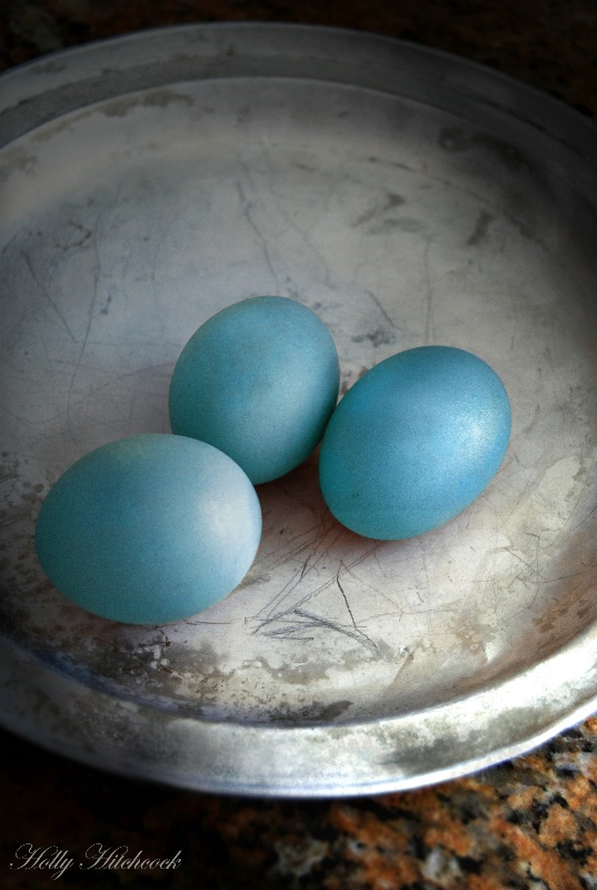 Blue Eggs