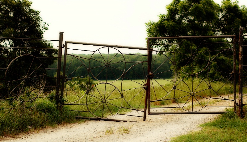 Fence of Circles