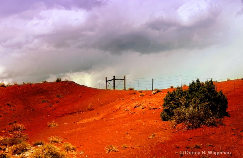 Looking Up - Red Sandstone