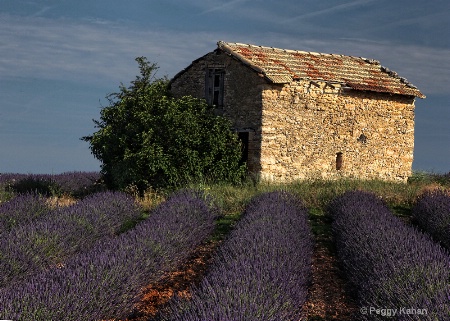 Stone House, Provence Lavender