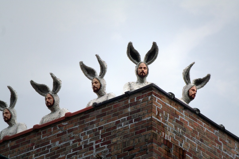 Hare...y Surveillance