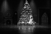 Christmas In July