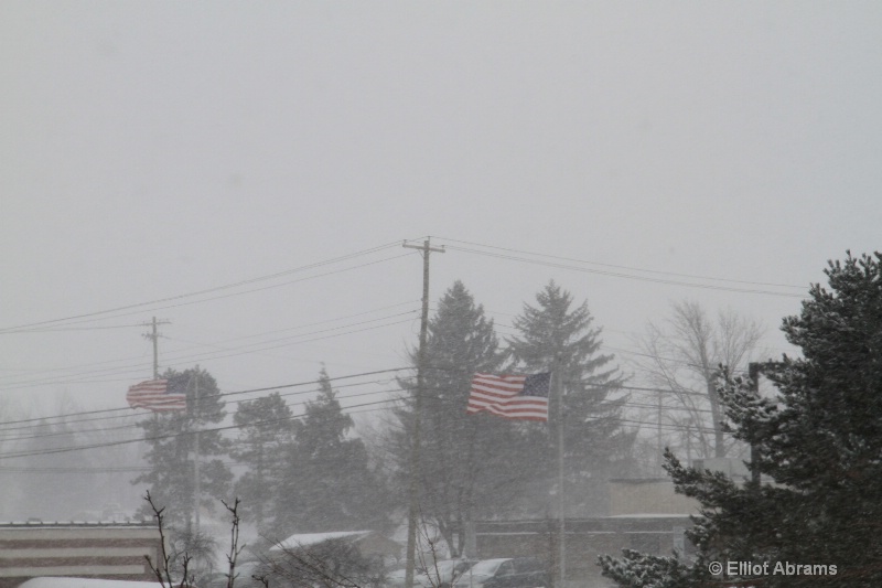 flags in the snowblown air